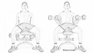 SUPINE DUMBBELL INCLINE BICEP CURL